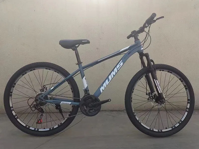 Mens Mountain Bike
