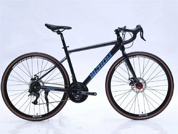 Basikal Jalan Raya Dewasa