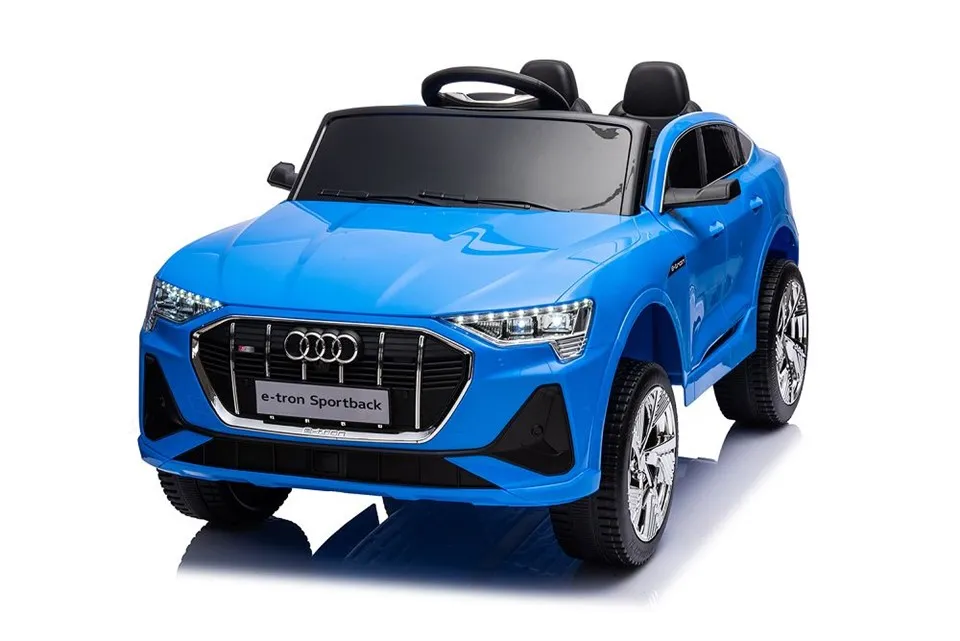 Memandu Kereta Mainan