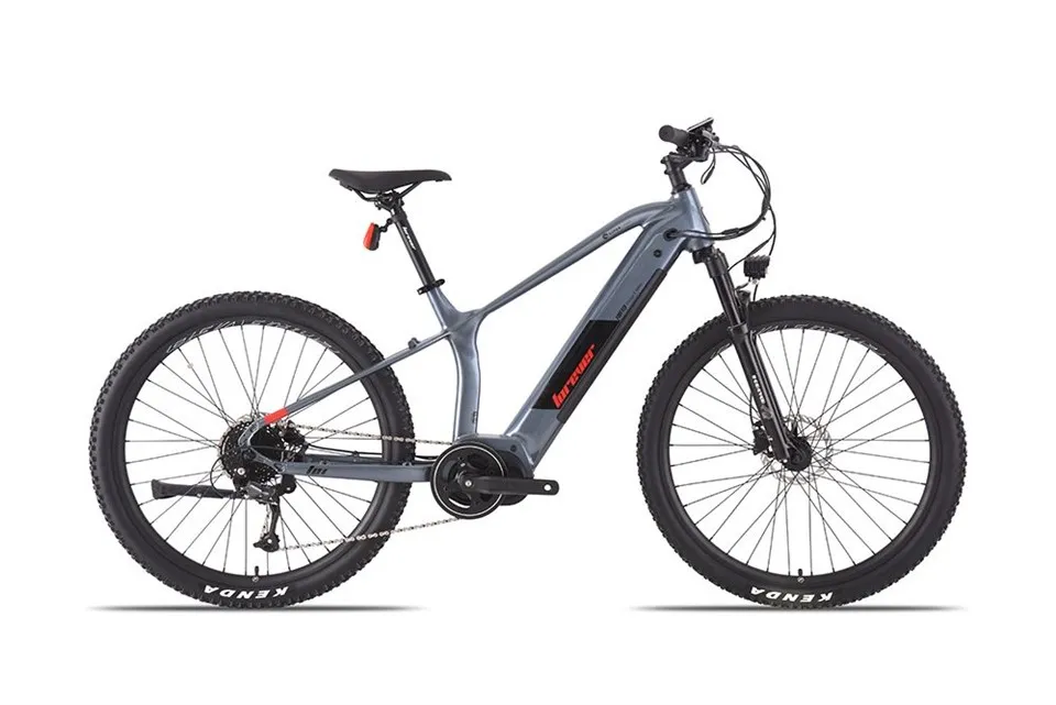 Basikal Elektrik untuk Dewasa