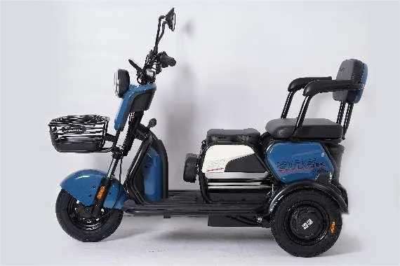 Trike Elektrik Untuk Dewasa